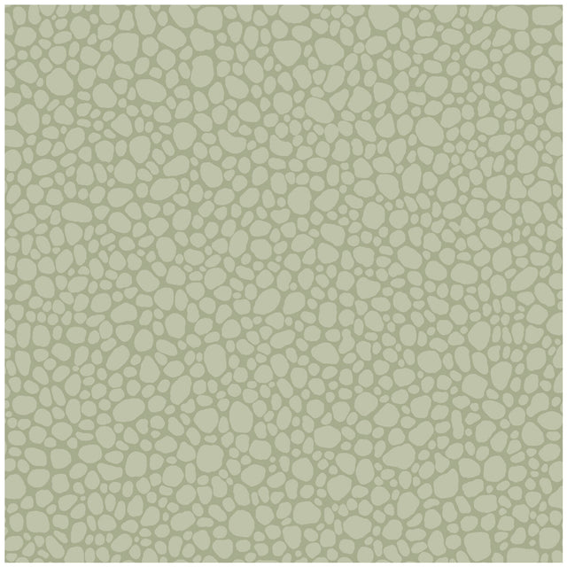 COLE & SON 106/2027.CS.0 PEBBLE SAGE Wallpaper - Eade's Wallpaper