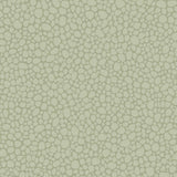 COLE & SON 106/2027.CS.0 PEBBLE SAGE Wallpaper - Eade's Wallpaper