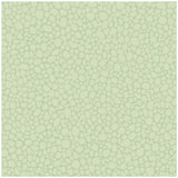 COLE & SON 106/2028.CS.0 PEBBLE DUCK EGG Wallpaper - Eade's Wallpaper
