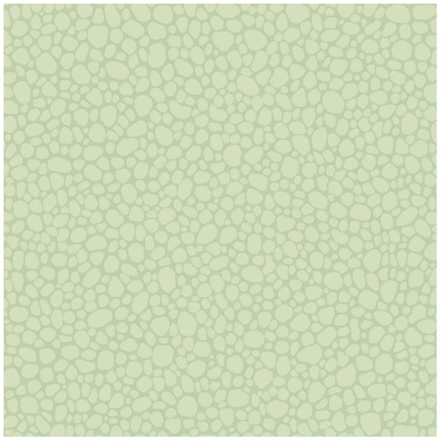 COLE & SON 106/2028.CS.0 PEBBLE DUCK EGG Wallpaper - Eade's Wallpaper