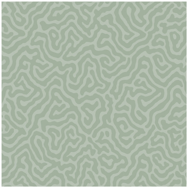 COLE & SON 106/5066.CS.0 CORAL SAGE Wallpaper - Eade's Wallpaper