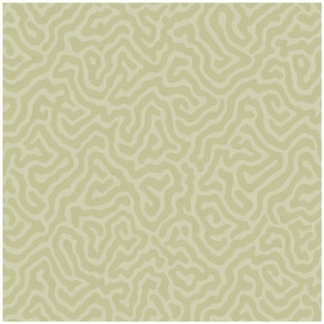 COLE & SON 106/5067.CS.0 CORAL OLD OLIVE Wallpaper - Eade's Wallpaper