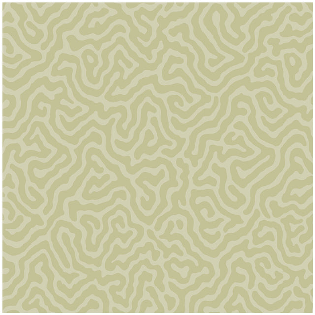 COLE & SON 106/5067.CS.0 CORAL OLD OLIVE Wallpaper - Eade's Wallpaper