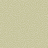 COLE & SON 106/5067.CS.0 CORAL OLD OLIVE Wallpaper - Eade's Wallpaper