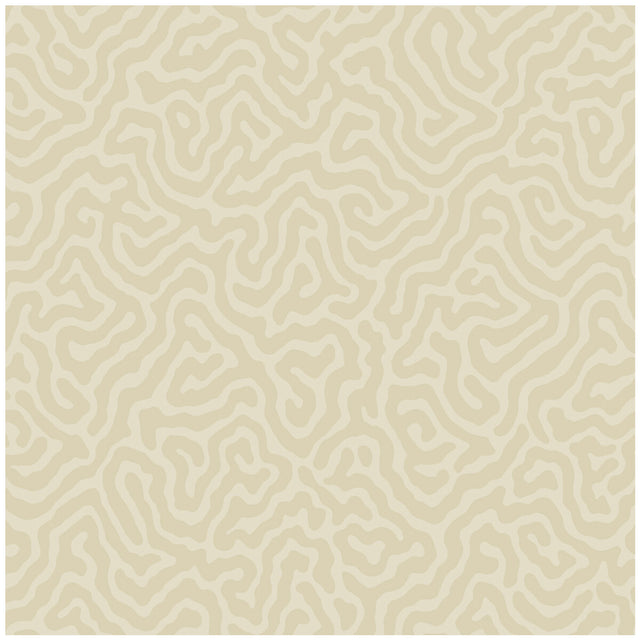 COLE & SON 106/5071.CS.0 CORAL PARCHMENT Wallpaper - Eade's Wallpaper