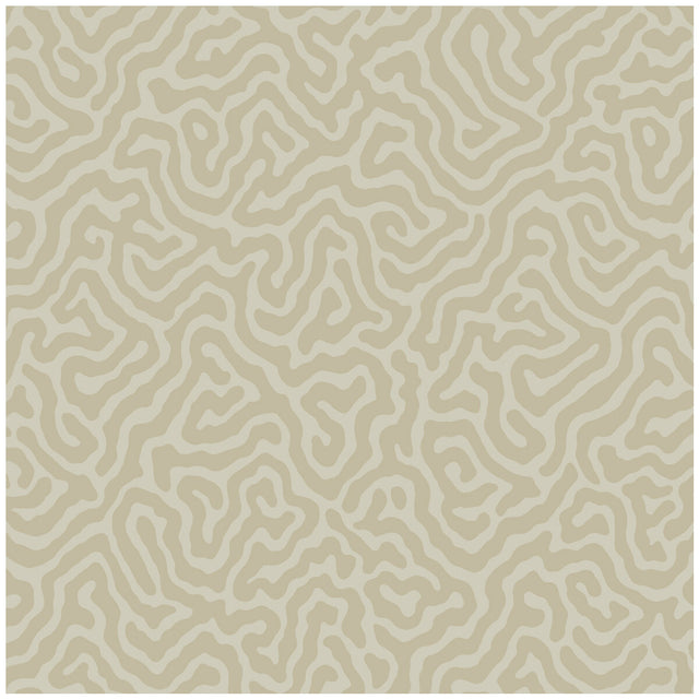 COLE & SON 106/5072.CS.0 CORAL PALE STONE Wallpaper - Eade's Wallpaper