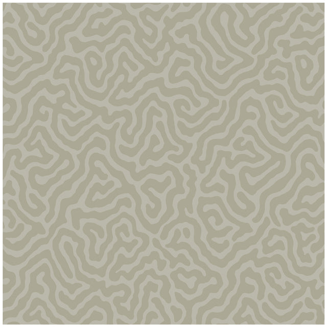 COLE & SON 106/5073.CS.0 CORAL STONE Wallpaper - Eade's Wallpaper