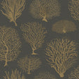 COLE & SON 107/2006.CS.0 SEAFERN BLACK & GOLD Wallpaper - Eade's Wallpaper