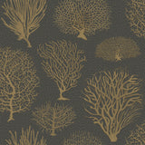 COLE & SON 107/2006.CS.0 SEAFERN BLACK & GOLD Wallpaper - Eade's Wallpaper