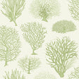 COLE & SON 107/2008.CS.0 SEAFERN SOFT GREEN Wallpaper - Eade's Wallpaper