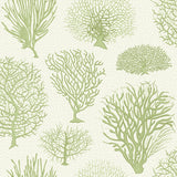 COLE & SON 107/2008.CS.0 SEAFERN SOFT GREEN Wallpaper - Eade's Wallpaper