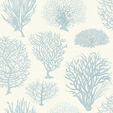 COLE & SON 107/2009.CS.0 SEAFERN BLUE Wallpaper - Eade's Wallpaper