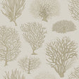 COLE & SON 107/2010.CS.0 SEAFERN STONE Wallpaper - Eade's Wallpaper