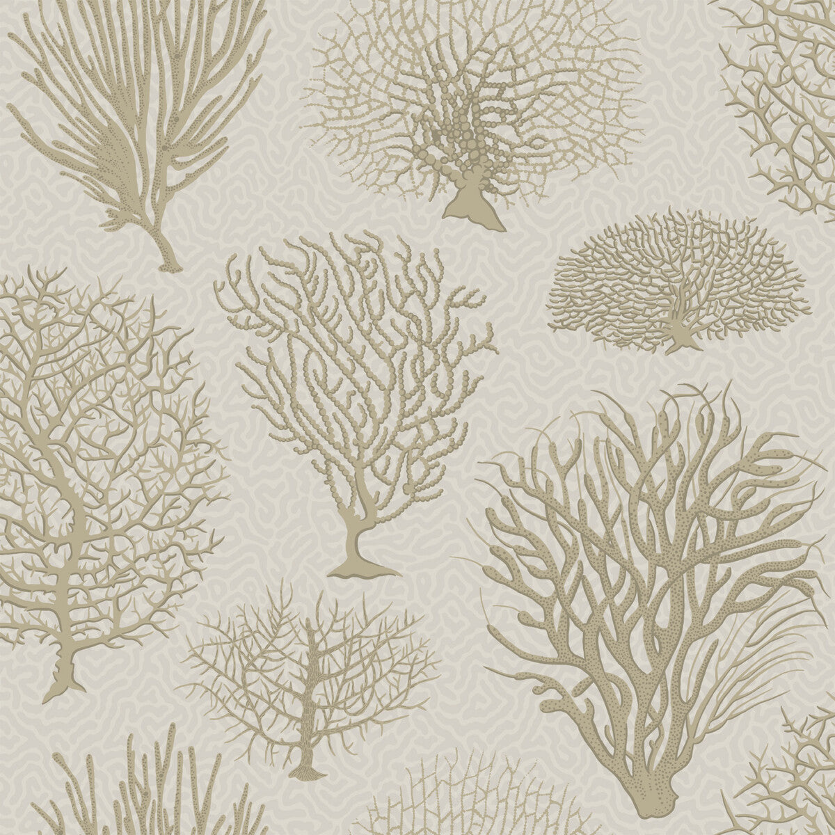 COLE & SON 107/2010.CS.0 SEAFERN STONE Wallpaper - Eade's Wallpaper