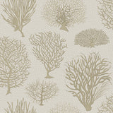 COLE & SON 107/2010.CS.0 SEAFERN STONE Wallpaper - Eade's Wallpaper