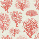 COLE & SON 107/2011.CS.0 SEAFERN CORAL Wallpaper - Eade's Wallpaper