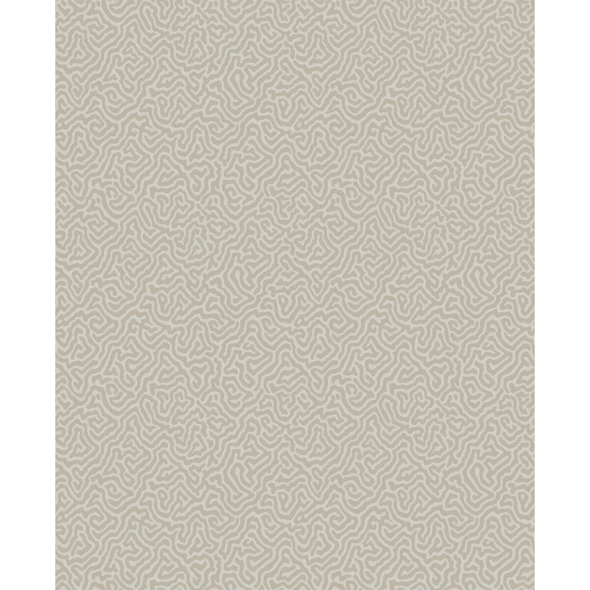 COLE & SON 107/4019.CS.0 VERMICELLI STONE Wallpaper - Eade's Wallpaper