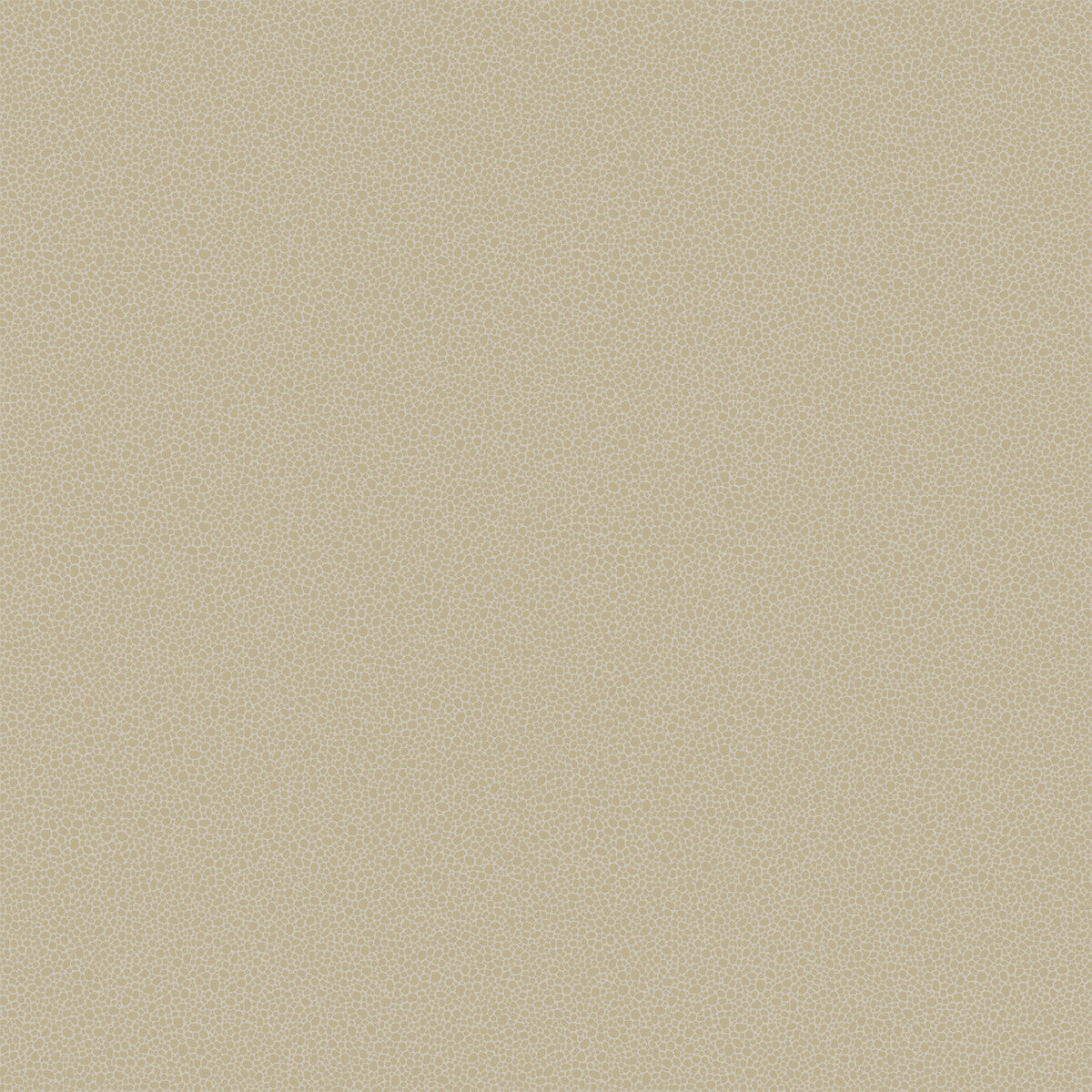 COLE & SON 107/9042.CS.0 GOLDSTONE STONE & GILVER Wallpaper - Eade's Wallpaper