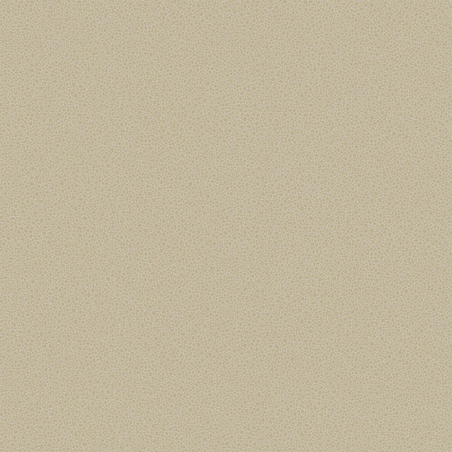 COLE & SON 107/9042.CS.0 GOLDSTONE STONE & GILVER Wallpaper - Eade's Wallpaper