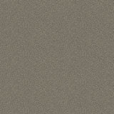 COLE & SON 107/9043.CS.0 GOLDSTONE BLACK & SILVER Wallpaper - Eade's Wallpaper