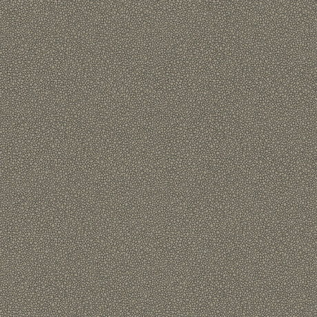 COLE & SON 107/9043.CS.0 GOLDSTONE BLACK & SILVER Wallpaper - Eade's Wallpaper
