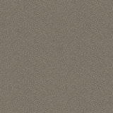 COLE & SON 107/9043.CS.0 GOLDSTONE BLACK & SILVER Wallpaper - Eade's Wallpaper