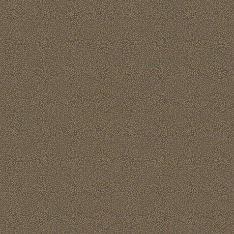 COLE & SON 107/9044.CS.0 GOLDSTONE BLACK & BRONZE Wallpaper - Eade's Wallpaper