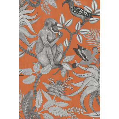 COLE & SON 109/1001.CS.0 SAVUTI ORANGE Wallpaper - Eade's Wallpaper