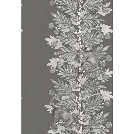 COLE & SON 109/11055.CS.0 ACACIA CHARCOAL & SILVER Wallpaper - Eade's Wallpaper