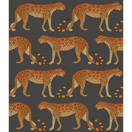 COLE & SON 109/2008.CS.0 LEOPARD WALK CHARCOAL & ORANGE Wallpaper - Eade's Wallpaper