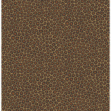 COLE & SON 109/6028.CS.0 SENZO SPOT TRUE LEOPARD Wallpaper - Eade's Wallpaper