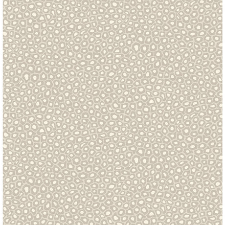 COLE & SON 109/6030.CS.0 SENZO SPOT STONE & WHITE Wallpaper - Eade's Wallpaper