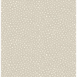 COLE & SON 109/6030.CS.0 SENZO SPOT STONE & WHITE Wallpaper - Eade's Wallpaper