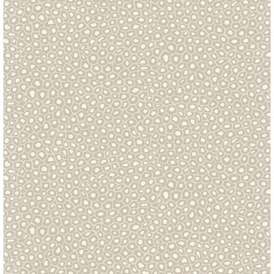 COLE & SON 109/6030.CS.0 SENZO SPOT STONE & WHITE Wallpaper - Eade's Wallpaper