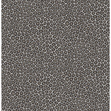 COLE & SON 109/6031.CS.0 SENZO SPOT BLACK & WHITE Wallpaper - Eade's Wallpaper
