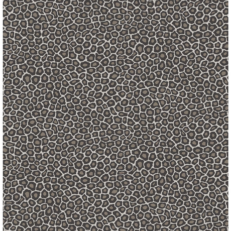 COLE & SON 109/6031.CS.0 SENZO SPOT BLACK & WHITE Wallpaper - Eade's Wallpaper