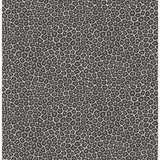 COLE & SON 109/6031.CS.0 SENZO SPOT BLACK & WHITE Wallpaper - Eade's Wallpaper