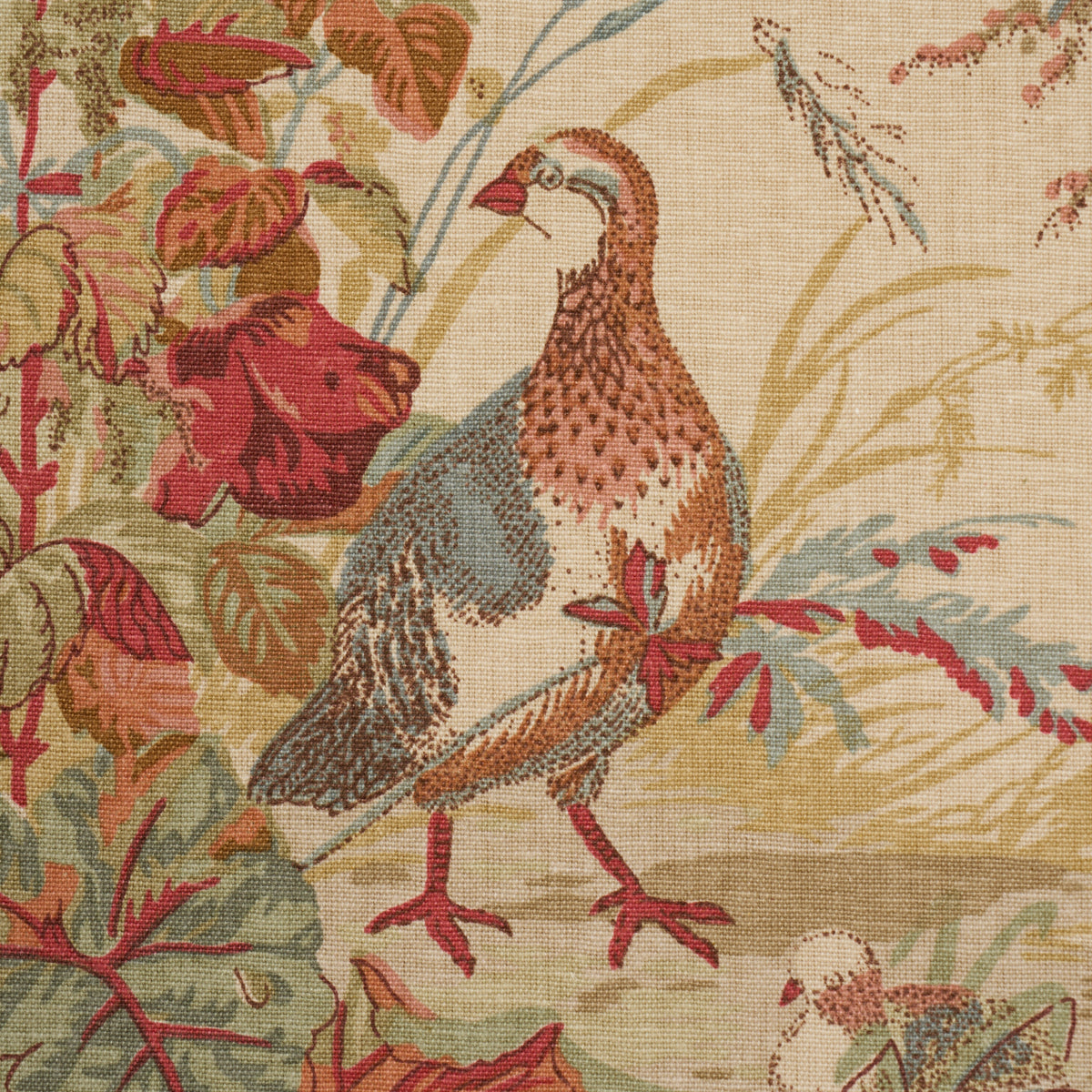 Schumacher 1106043 QUAIL MEADOW in AUTUMN Fabric - A COUNTRY