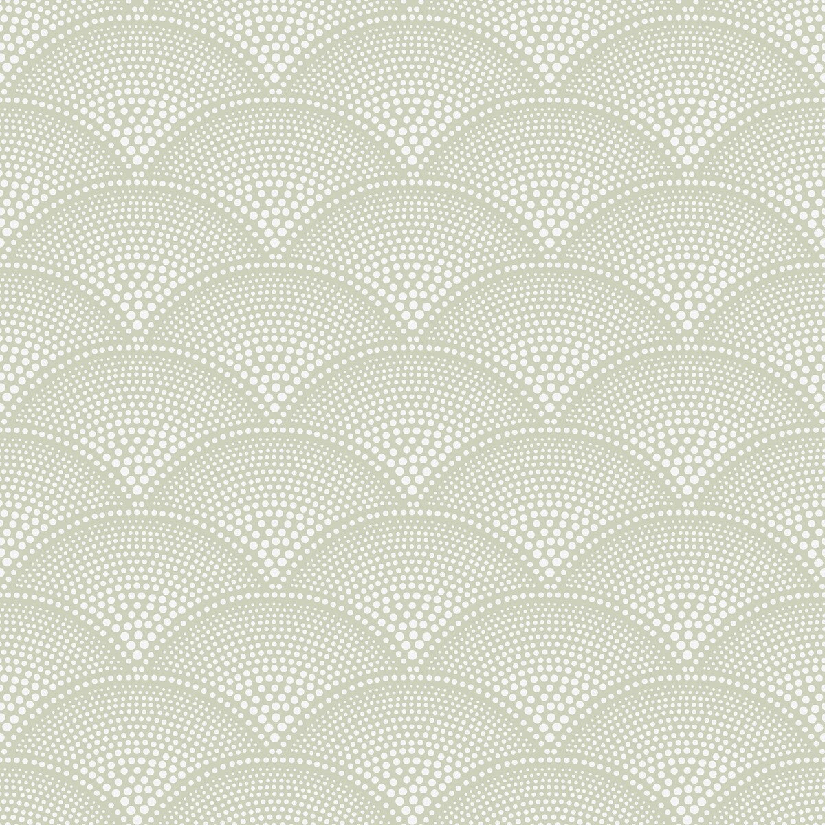 COLE & SON 112/10037.CS.0 FEATHER FAN OLD OLIVE Wallpaper - Eade's Wallpaper