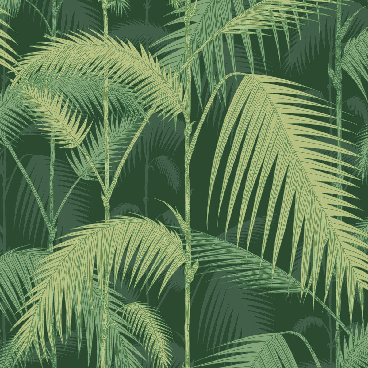 COLE & SON 112/1003.CS.0 PALM JUNGLE LEAF GREEN Wallpaper - Eade's Wallpaper