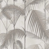 COLE & SON 112/1004.CS.0 PALM JUNGLE STONE/TAUPE Wallpaper - Eade's Wallpaper