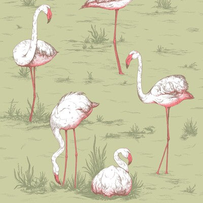 COLE & SON 112/11038.CS.0 FLAMINGOS OLIVE Wallpaper - Eade's Wallpaper
