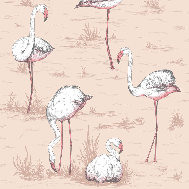 COLE & SON 112/11039.CS.0 FLAMINGOS PLASTER PINK Wallpaper - Eade's Wallpaper