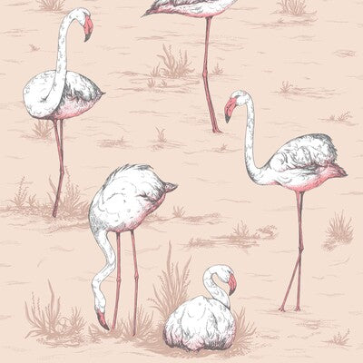 COLE & SON 112/11039.CS.0 FLAMINGOS PLASTER PINK Wallpaper - Eade's Wallpaper