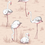 COLE & SON 112/11039.CS.0 FLAMINGOS PLASTER PINK Wallpaper - Eade's Wallpaper