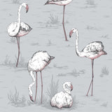 COLE & SON 112/11040.CS.0 FLAMINGOS GREY Wallpaper - Eade's Wallpaper