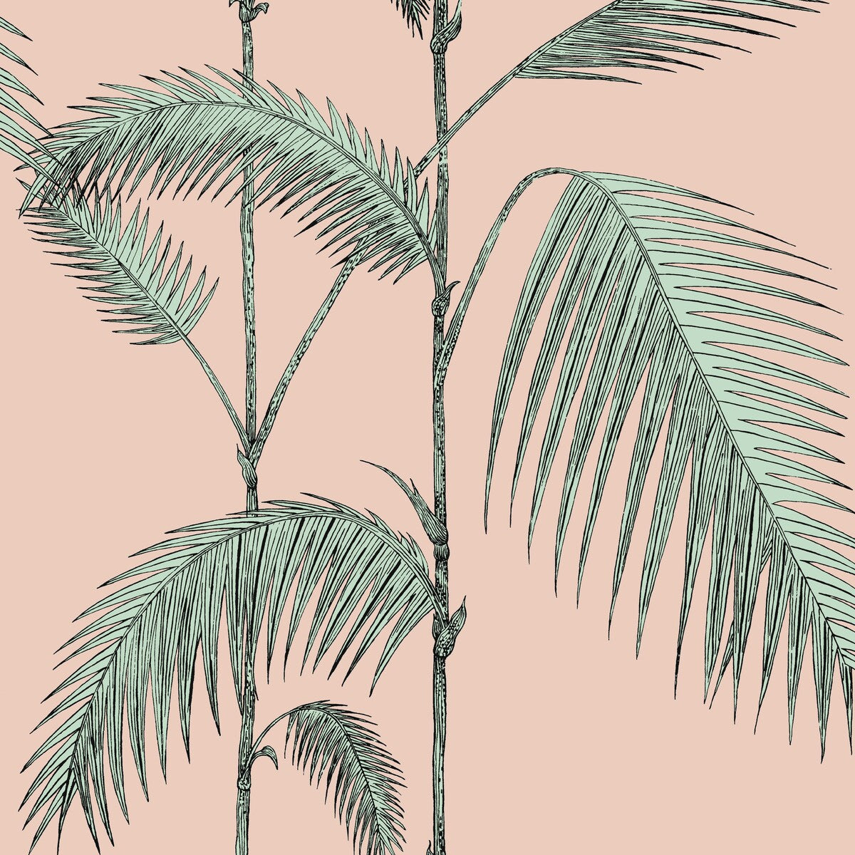 COLE & SON 112/2005.CS.0 PALM LEAVES PLASTER PINK/MINT Wallpaper - Eade's Wallpaper