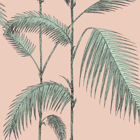 COLE & SON 112/2005.CS.0 PALM LEAVES PLASTER PINK/MINT Wallpaper - Eade's Wallpaper