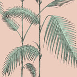COLE & SON 112/2005.CS.0 PALM LEAVES PLASTER PINK/MINT Wallpaper - Eade's Wallpaper
