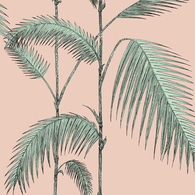 COLE & SON 112/2005.CS.0 PALM LEAVES PLASTER PINK/MINT Wallpaper - Eade's Wallpaper